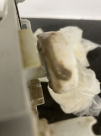 condensate-pump-float-dirty